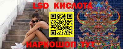 эйфоретик Гатчина