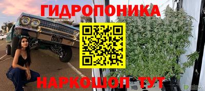 эйфоретик Гатчина