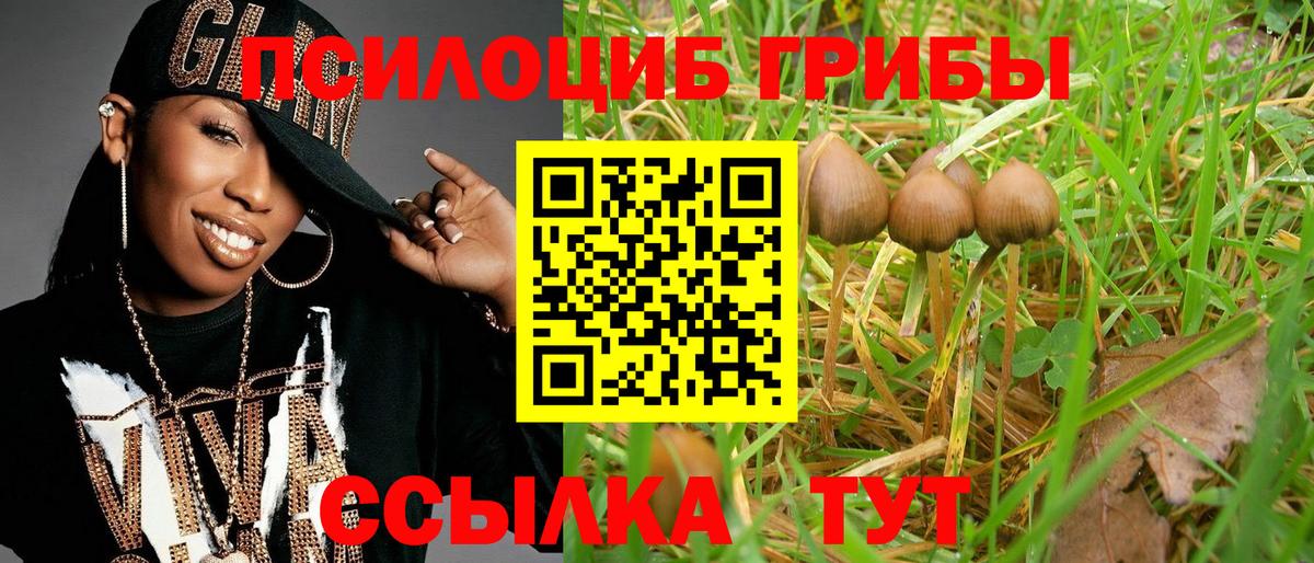 Галлюциногенные грибы MAGIC MUSHROOMS Вологда