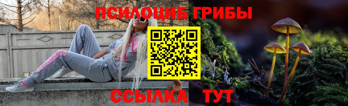 Псилоцибиновые грибы мухоморы  Вход с VPN  Вологда  Псилоцибиновые грибы GOLDEN TEACHER 